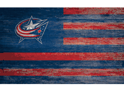 Columbus Blue Jackets Distressed Flag 11x19