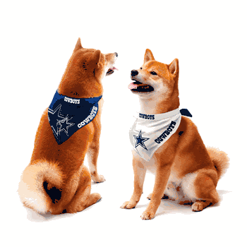 Dallas Cowboys Home and Away Pet Bandana Set Large