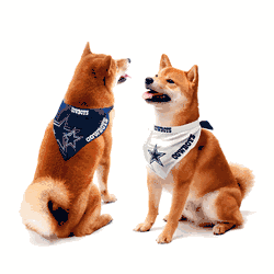 Dallas Cowboys Home and Away Pet Bandana Set Small