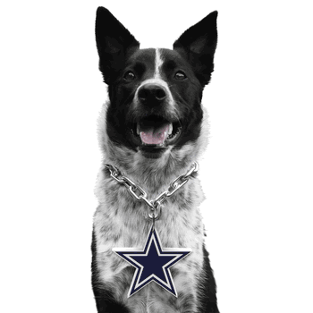 Dallas Cowboys Pet Fan Chain