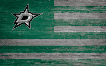 Dallas Stars Distressed Flag 11x19
