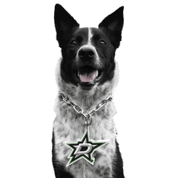 Dallas Stars Pet Fan Chain