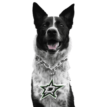 Dallas Stars Pet Fan Chain