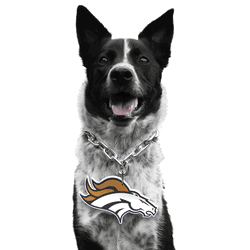 Denver Broncos Pet Fan Chain