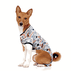 Denver Broncos Pet PJs Large