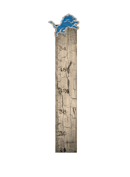 Detroit Lions Growth Chart Sign 6x36
