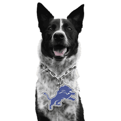 Detroit Lions Pet Fan Chain