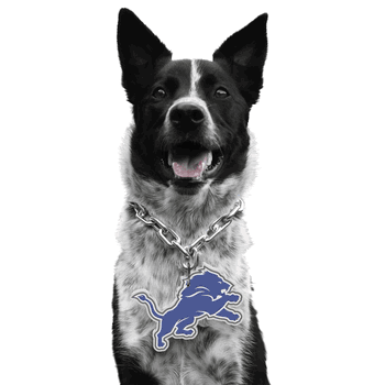 Detroit Lions Pet Fan Chain