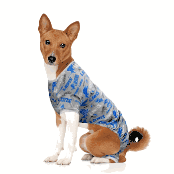 Detroit Lions Pet PJs Medium