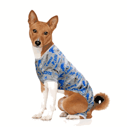 Detroit Lions Pet PJs XL