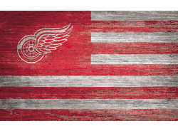 Detroit Red Wings Distressed Flag 11x19