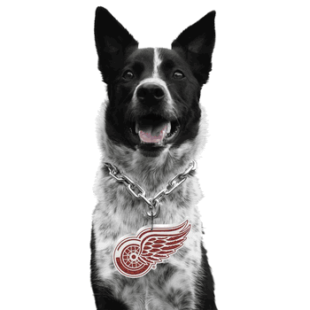 Detroit Red Wings Pet Fan Chain