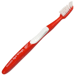 Detroit Red Wings Toothbrush