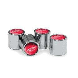 Detroit Red Wings Valve Stem Caps