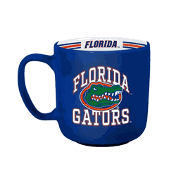 Florida Gators 15oz Stripe Mug