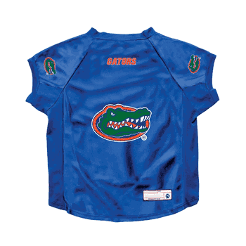 Florida Gators Big Pet Stretch Jersey Big