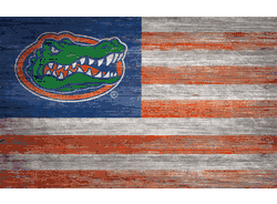 Florida Gators Distressed Flag 11x19