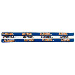 Florida Gators Elastic Headband