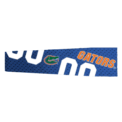 Florida Gators FanBand