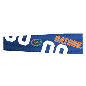 Florida Gators FanBand