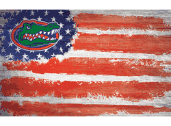 Florida Gators Flag 11x19