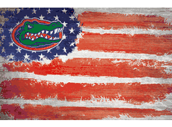 Florida Gators Flag 17x26
