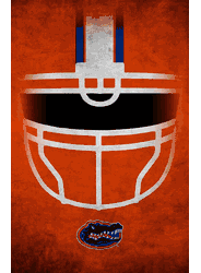 Florida Gators Ghost Helmet 17x26