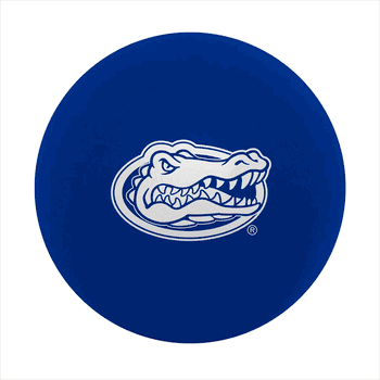 Florida Gators High Bounce Ball