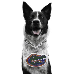 Florida Gators Pet Fan Chain