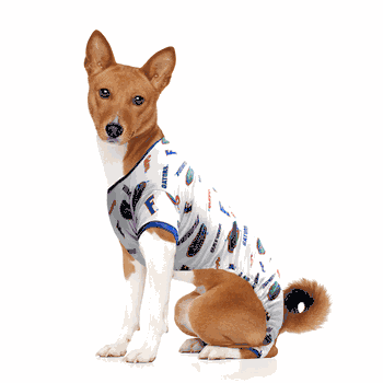 Florida Gators Pet PJs Extra Small