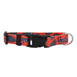 Florida Gators Pet Team Collar Large