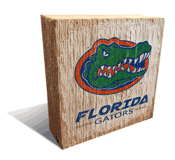 Florida Gators Team Logo Block 6X6