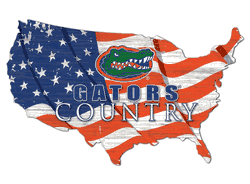 Florida Gators USA Shape Flag Cutout