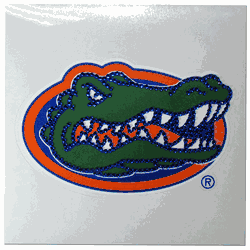 Florida Gators Vinyl Bling Decal