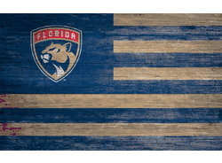 Florida Panthers Distressed Flag 11x19