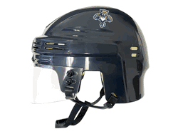 Florida Panthers NHL Mini Helmet Team Color