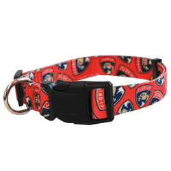Florida Panthers Pet Team Collar Medium