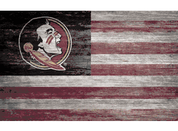 Florida State Seminoles Distressed Flag 11x19
