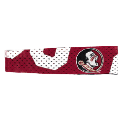 Florida State Seminoles FanBand