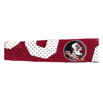 Florida State Seminoles FanBand