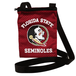 Florida State Seminoles Game Day Pouch