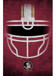 Florida State Seminoles Ghost Helmet 17x26