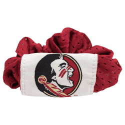 Florida State Seminoles Hair Twist