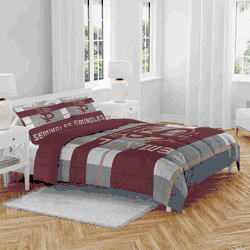 Florida State Seminoles Heather Stripe 3 PC Full/Queen Bed in a Bag