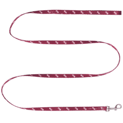 Florida State Seminoles Pet Team Lead .375 x 60