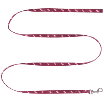 Florida State Seminoles Pet Team Lead .375 x 60