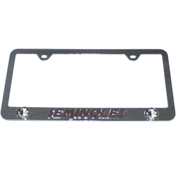 Florida State Seminoles Tag Frame