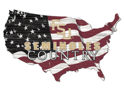 Florida State Seminoles USA Shape Flag Cutout