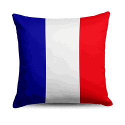 France Flag Throw Pillow 18x18 inches