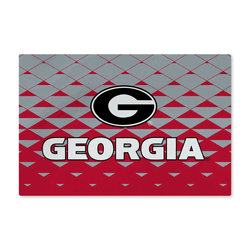 Georgia Bulldogs NCAA Dropzone Washable Rug 20X32 Inches